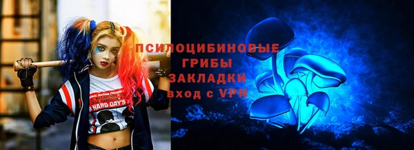прущие грибы Магас
