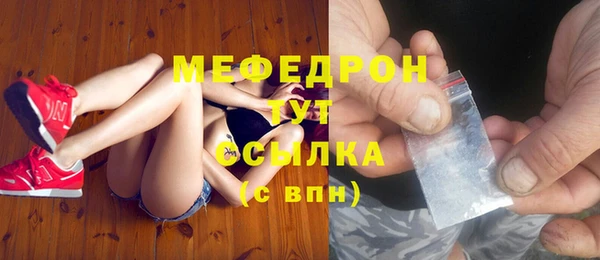 прущие грибы Магас