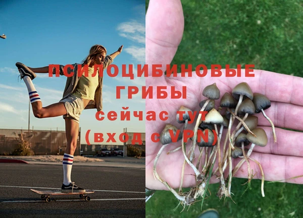 стафф Бердск