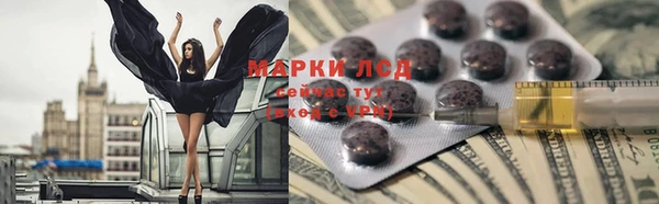 прущие грибы Магас
