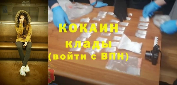 дживик Майский