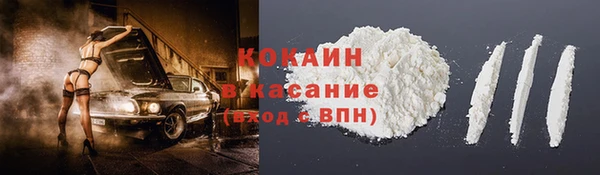 дживик Майский