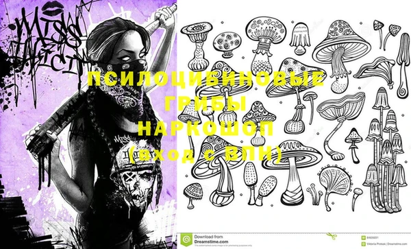 первитин Абинск
