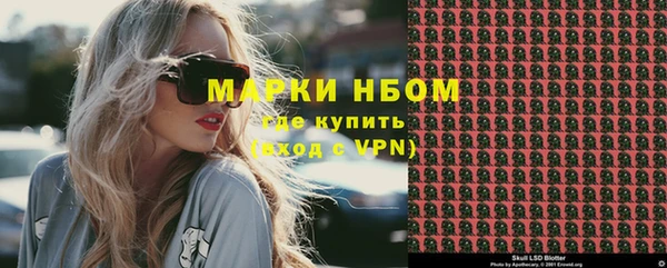 прущие грибы Магас