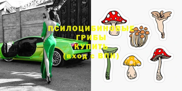 прущие грибы Магас