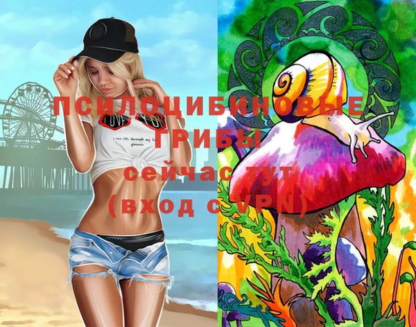 дживик Майский