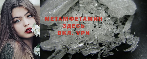 прущие грибы Магас