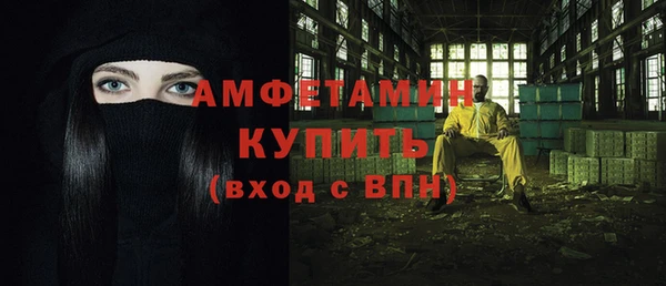 прущие грибы Магас