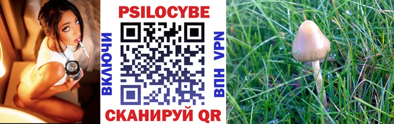 Галлюциногенные грибы Psilocybe  Юрюзань 